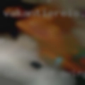 Tennessee swinger pussy